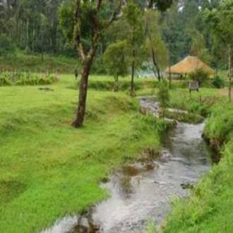 Swap Your Concrete Confines, Coorg 4